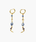Koi Fish Earrings